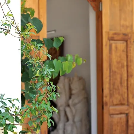 Clemente En Aparte Sud *