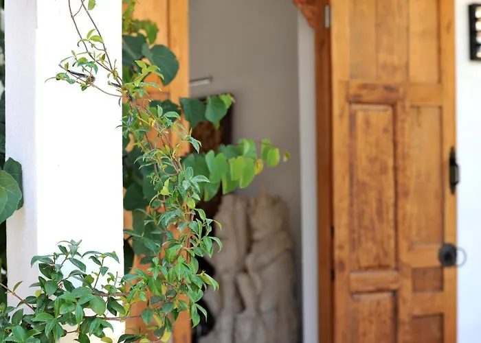 Clemente En Aparté Sud *