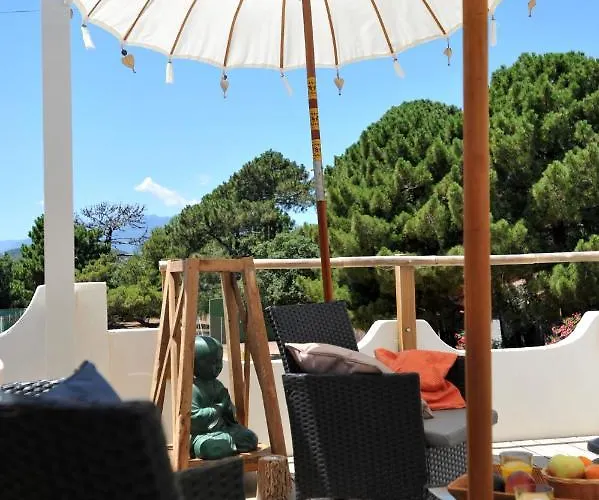 Appartement Clemente En Aparté Sud Lecci